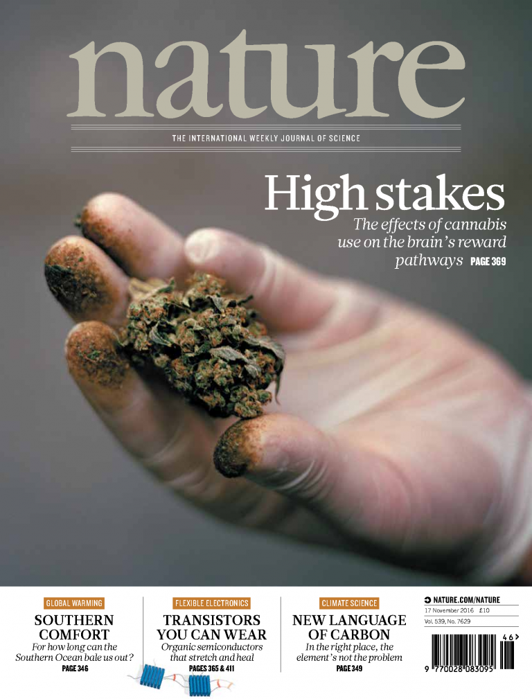 Nature journal cover story, 'High Stakes: The effect of cannabis use on the brain's reward pathways'
