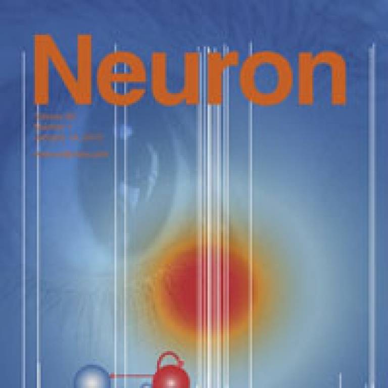 Cover of 'Neuron' journal