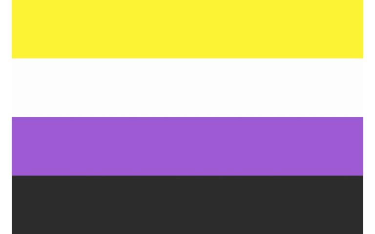 The Nonbinary Pride flag, with four coloured stripes from top to bottom of yellow, white, purple and black.