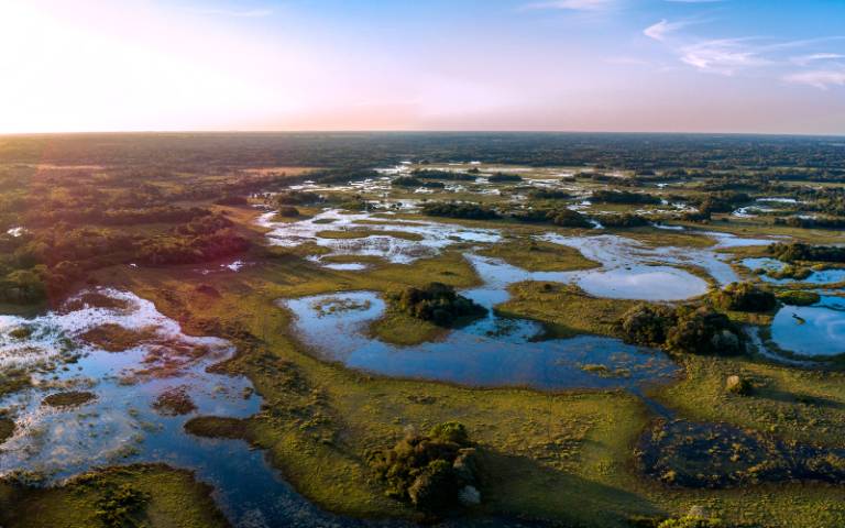 A vast landscape of semi-flooded wetland