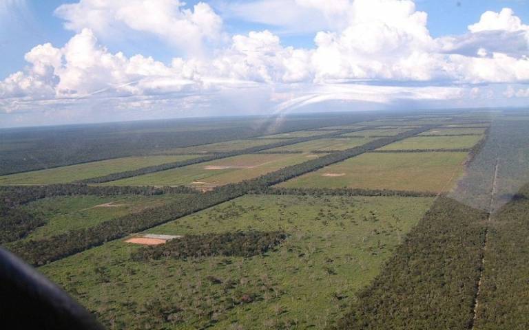 Paraguay land clearing