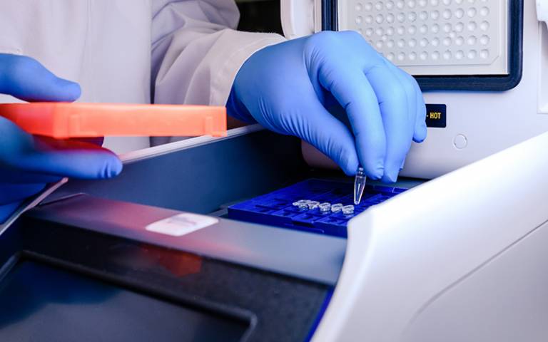 PCR testing