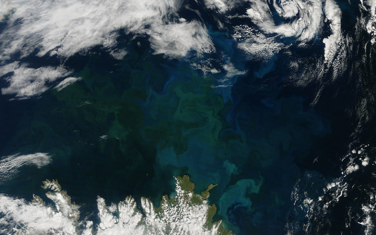 Phytoplankton bloom off Iceland