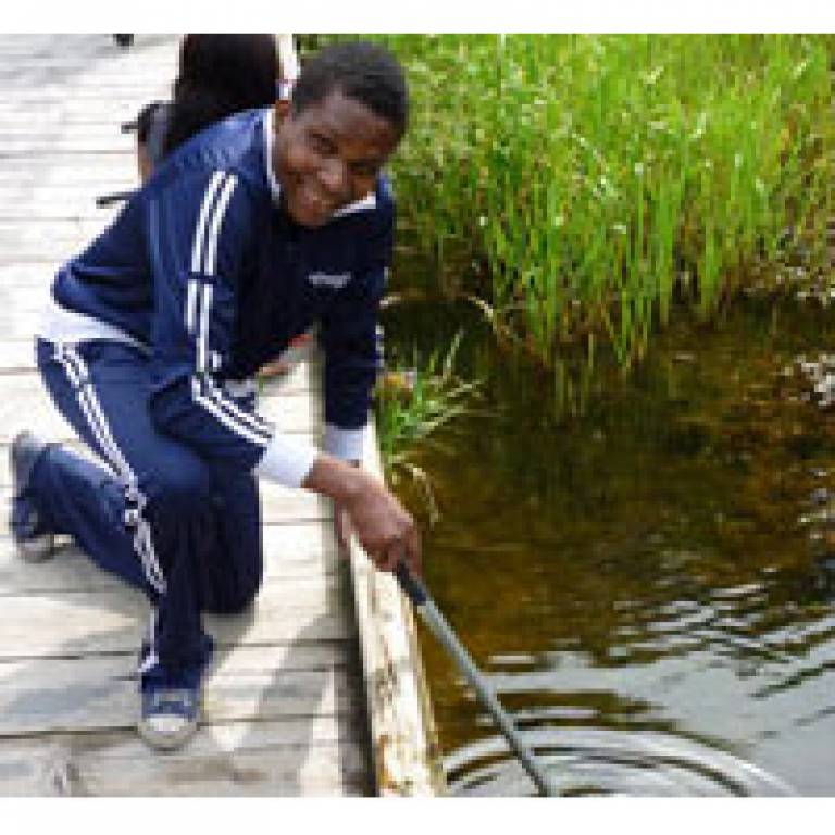 Young person examining pond life