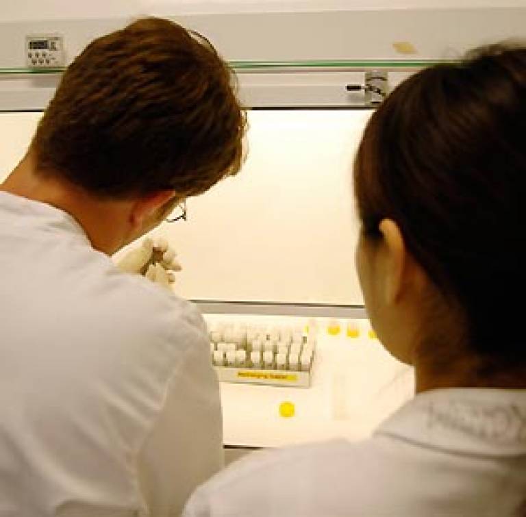 Postdoctoral students in the lab