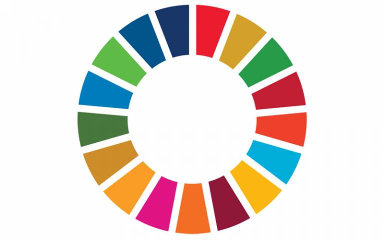The UN Sustainable Development Goals "SDG Wheel"