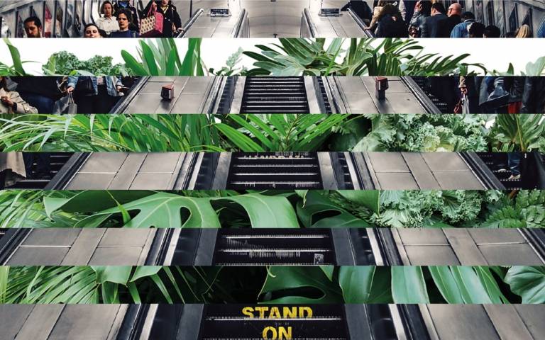 two images intersecting, one of plants and one of an escalator