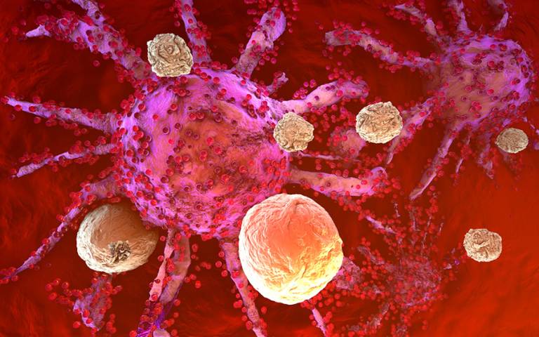Stock illustration of T cells attacking a cancer cell
