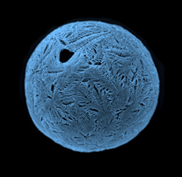 TIPS microsphere blue.png