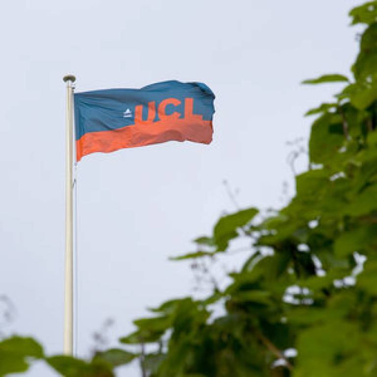 UCL flag