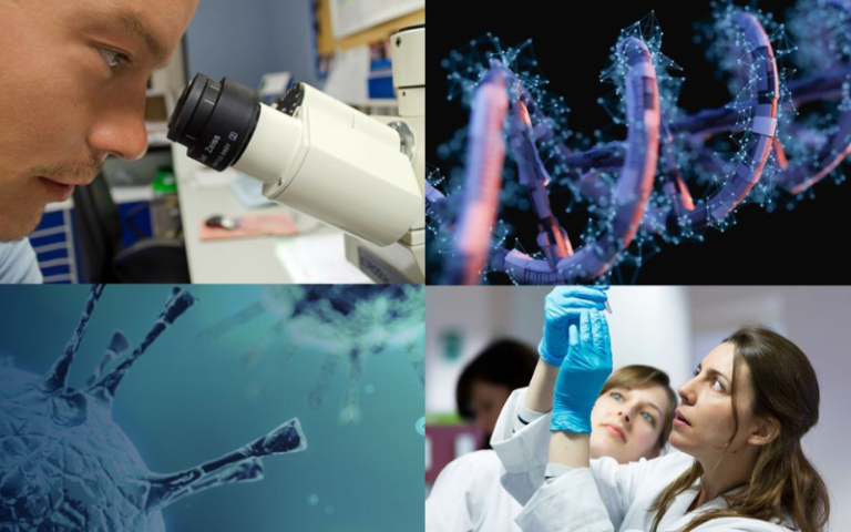Composite image shows a scientists top left and bottom right, and DNA top right and bottom left.