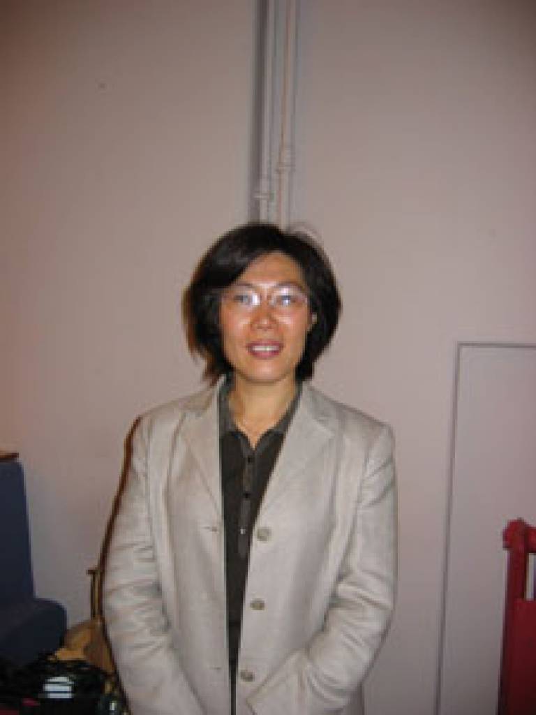 Professor Wang Xiaoyun