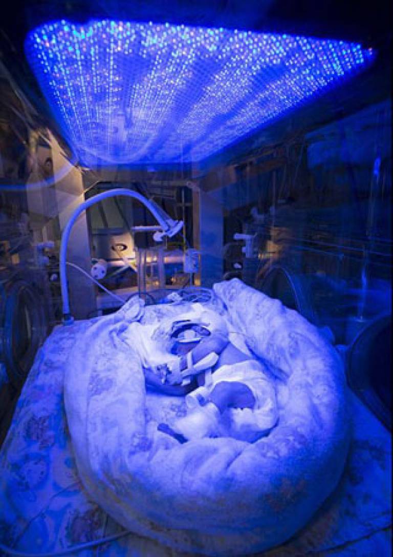 Premature baby receiving light therapy