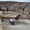 Horse butchery site under excavation in 1990