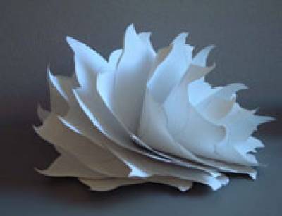 Paper sculpture inspired by corals at the Grant Museum of Zoology