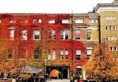 Vines in bright shades of red, yellow and orange cover the side of a building at UCL. Photo by @husseinnagree