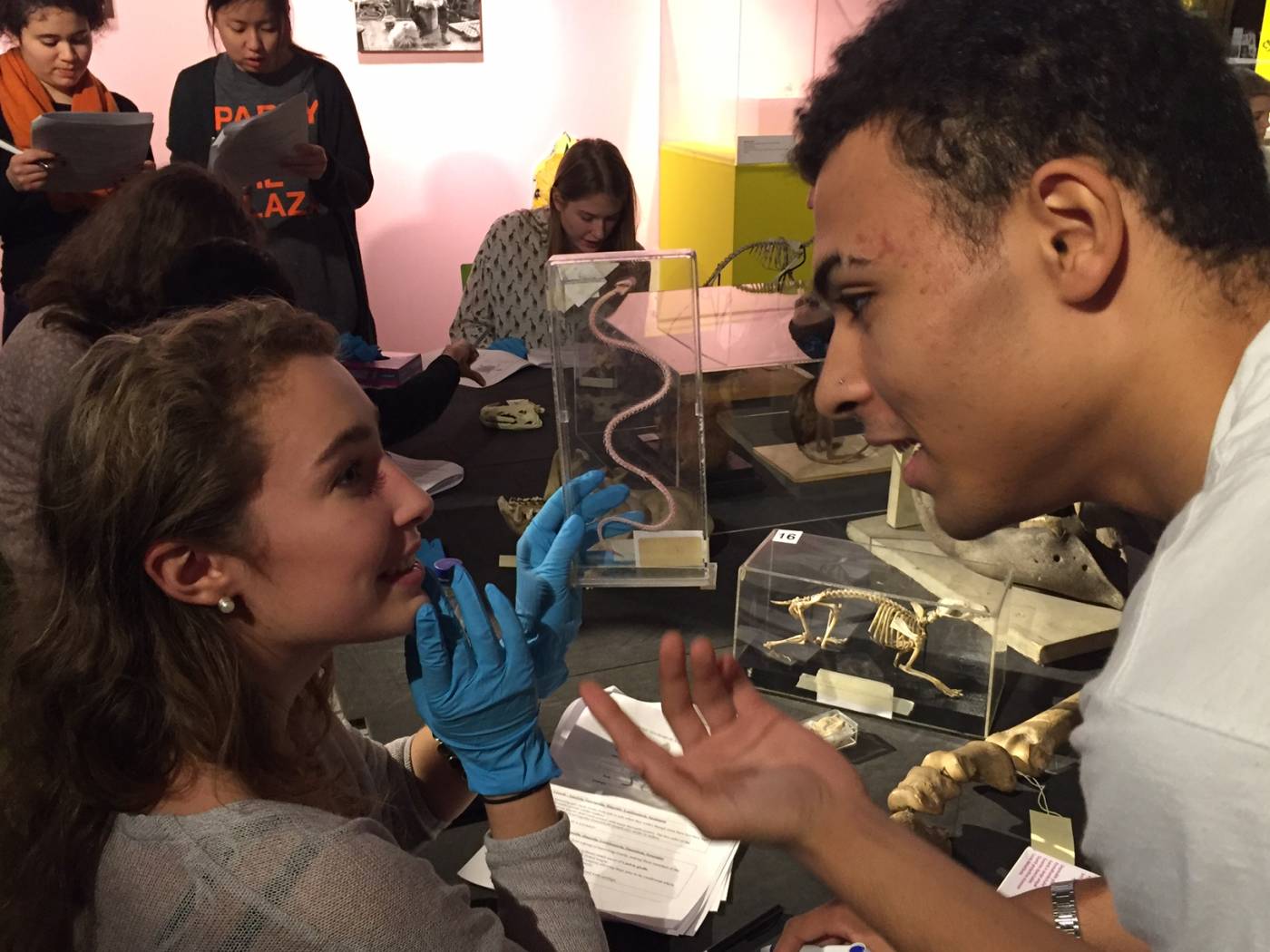 Students discuss mystery specimens