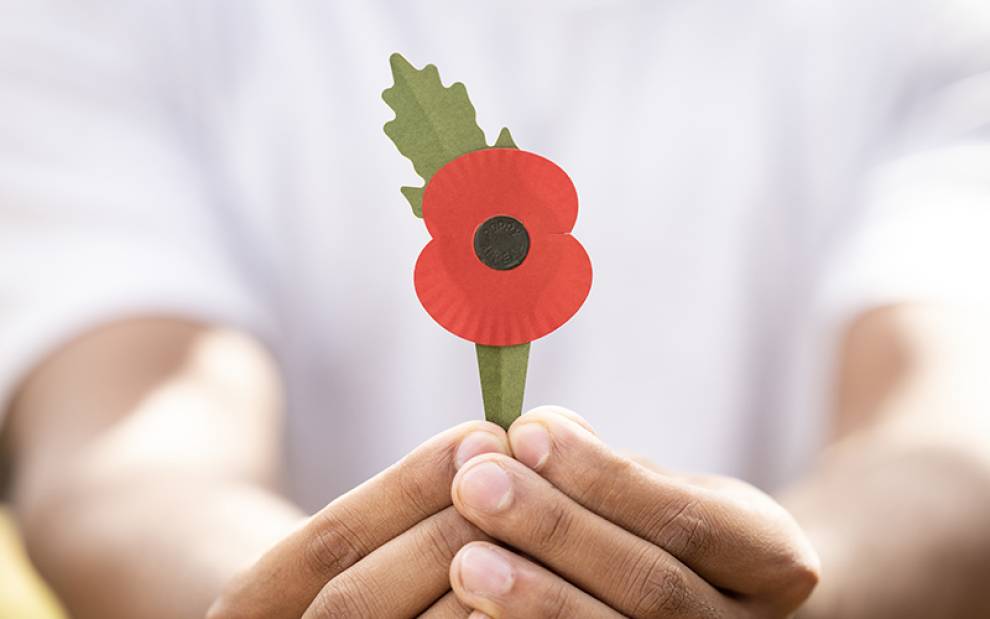 UCL researchers help create new plastic-free Remembrance poppy 
