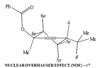 The structure of the cyclohexene derivative from NOE measurements