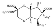 Revised_Structure_of_Tagetitoxin