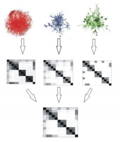 Fun-L shows how different source protein interaction networks on the left are  converted into individual kernel matrices middle and finally combined into a single integrated matrix.