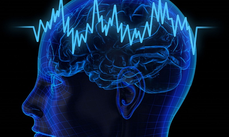 Human brain research image