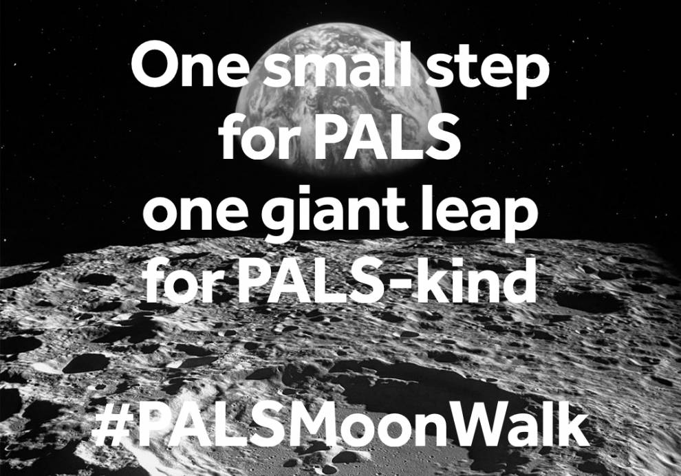 PALS MoonWalk 2