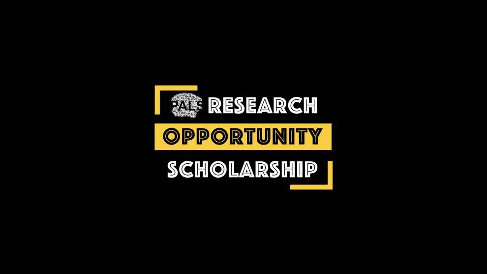 Research Opportunity Scholarship