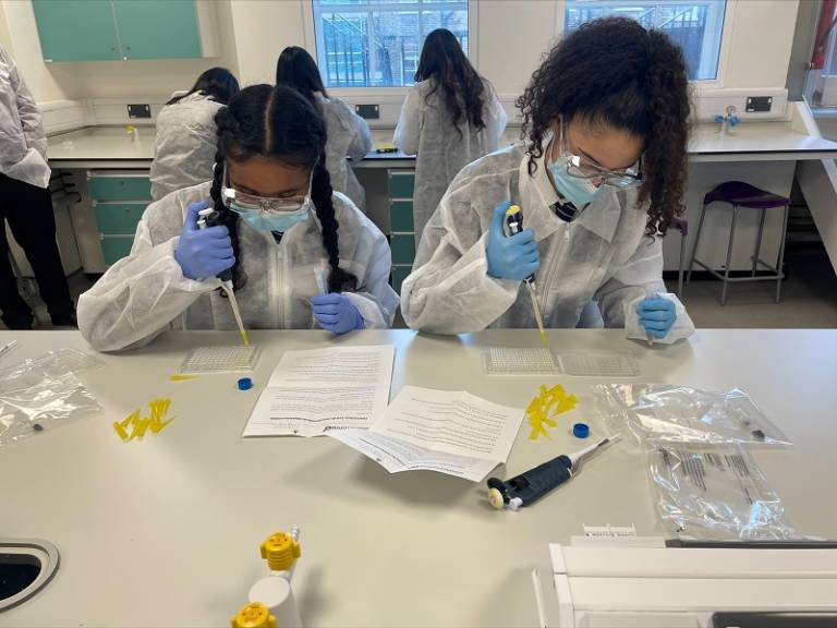 Secondary school students performing a minimal inhibitory concentration assay at the UCL School of Pharmacy