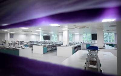 A laboratory in the UCL School of Pharmacy as seen from a window with an art installation of purple nanofibres
