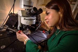 Professor Afia Ali working in her laboratory