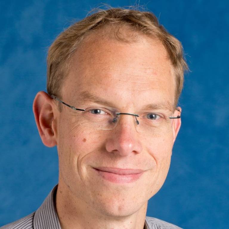Professor Bart Hoogenboom