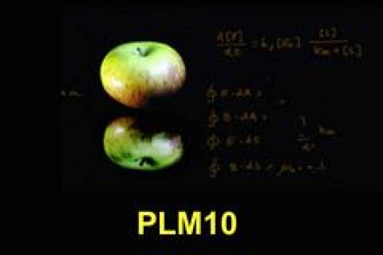 plm10 symposium