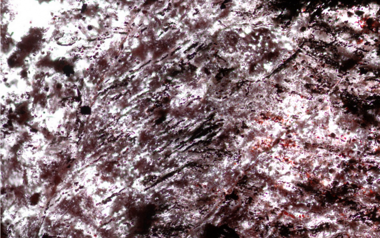Centimeter - size pectinate - branching and parallel - aligned filaments composed of red hematite, some with twists, tubes and different kinds of hematite spheroids.