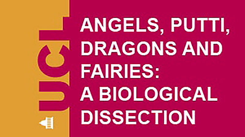 Vintage Podcast Artwork - Angels, Putti, Dragons and Fairies: A Biological Dissection