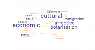 Noam Gidron's presentation on immigration and affective polarisation - word-cloud