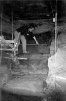 Paul Pettitt to the middle/upper palaeolithic interface in Gorham's Cave