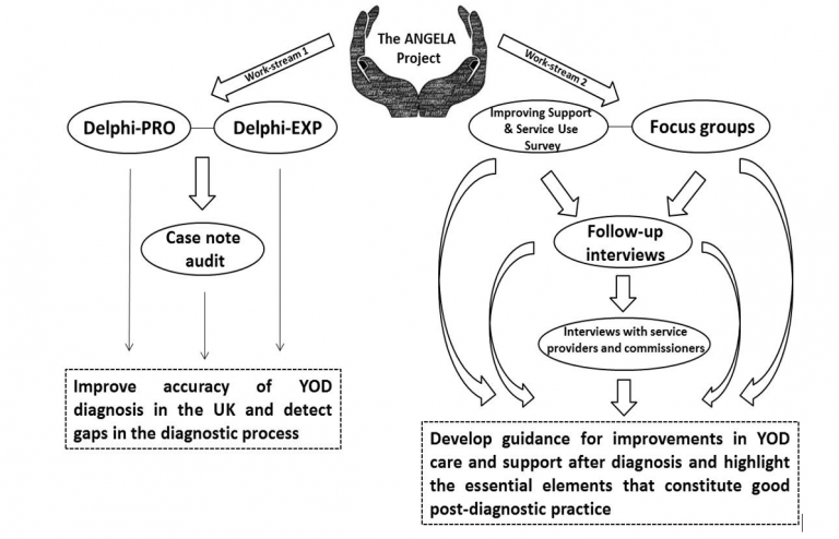 The Angela Project activity flow diagram