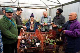 Trust Links members and volunteers working together in a polytunnel