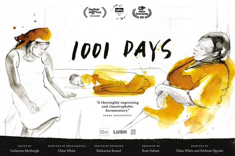 1001 days film poster