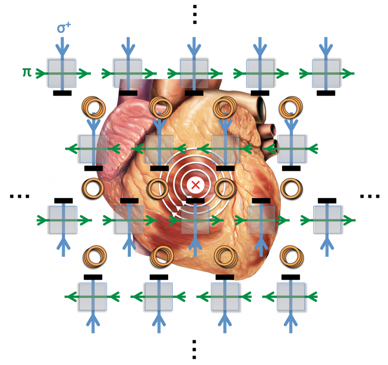 An illustration of the quantum sensors overlaid on top of a human heart 
