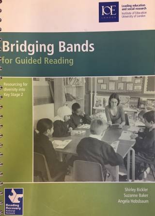 Bridging bands book cover