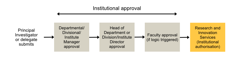 Graphic of the faculty approval process