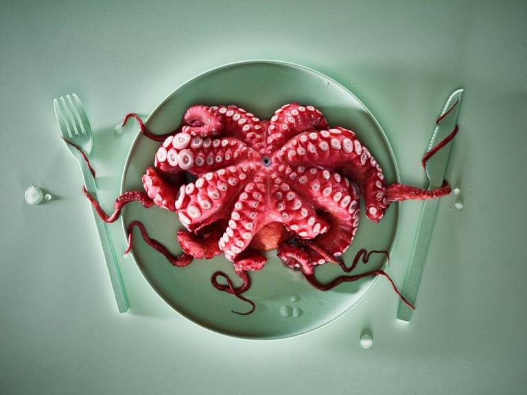 Octopus on plate