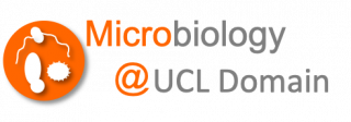 Microbiology at UCL