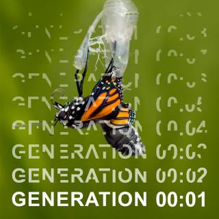 butterfly with generation 01