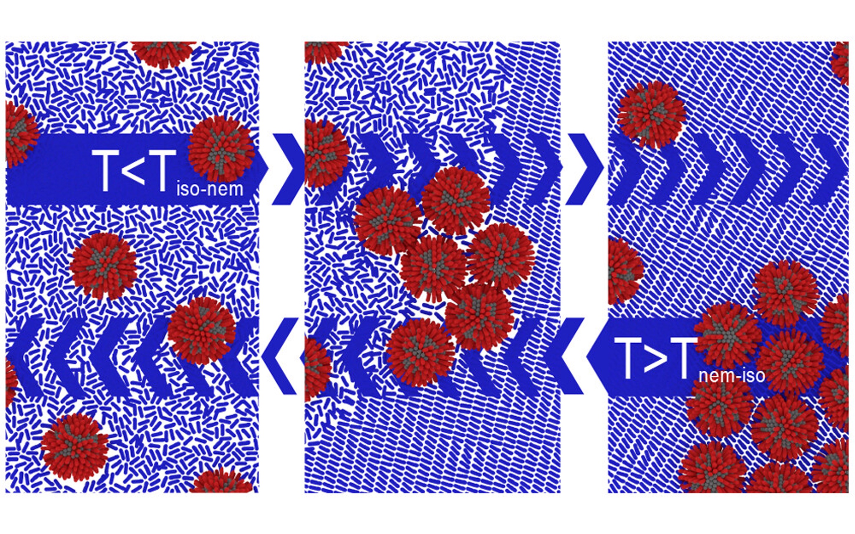 ToC schematic of Reversible Microscale Assembly of Nanoparticles Driven by the Phase Transition of a Thermotropic Liquid Crystal