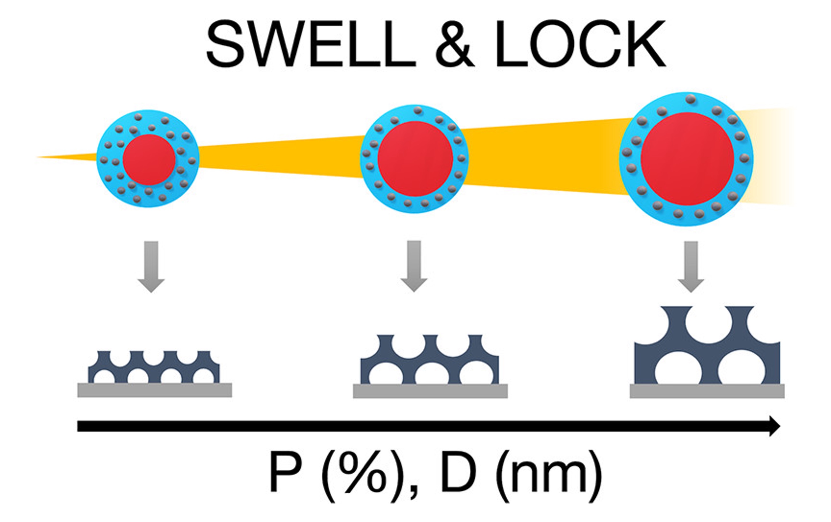 Schematic of Swell & Lock mechanism