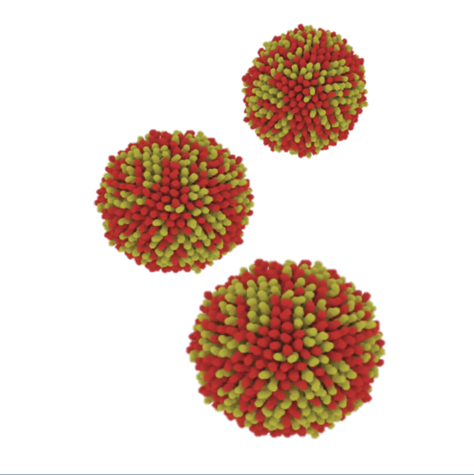 Teaser image of nanoparticle building blocks with tailored size and surface functionalisa