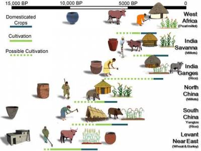 Pathways to Agriculture